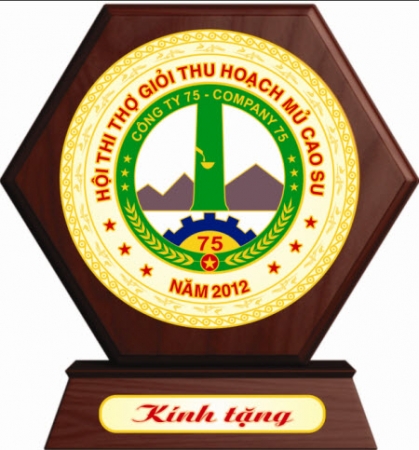 KỶ NIỆM CHƯƠNG ĐỒNG TT4